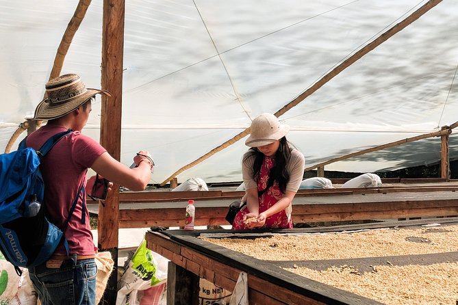Coffee Half-Day Tour in Medellín: From the Seed to the Cup - Good To Know