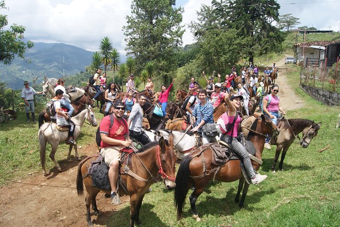 Coffee Tour In Horse Riding and Lunch In Medellin - Good To Know