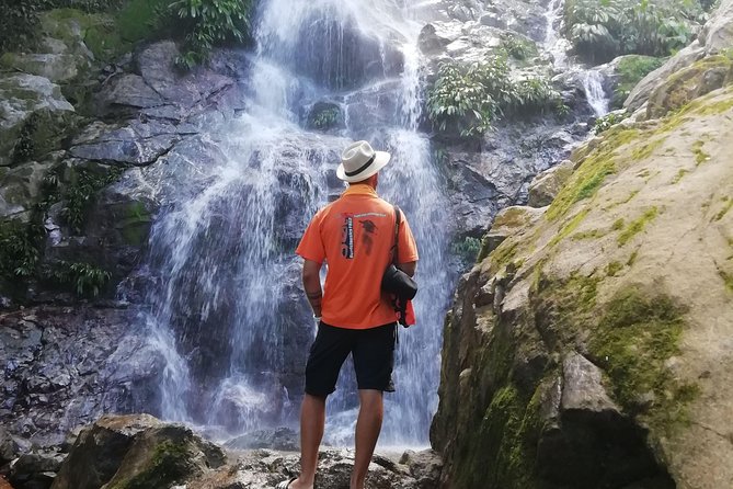 Coffee Tour La Victoria and Waterfalls in Minca - Private Tour - Good To Know