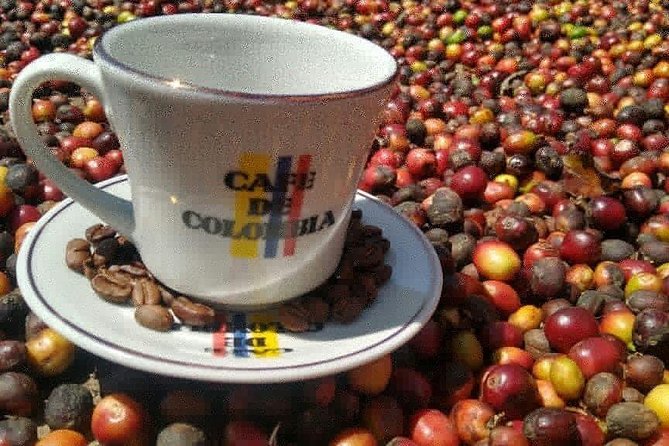 Coffee Tour, Tasting and Experience - Good To Know