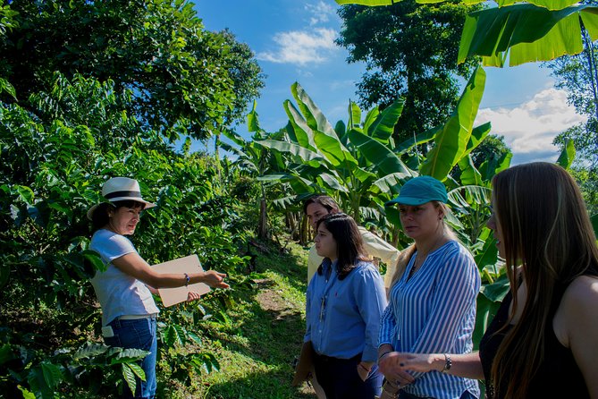 Coffee Tour. - Good To Know