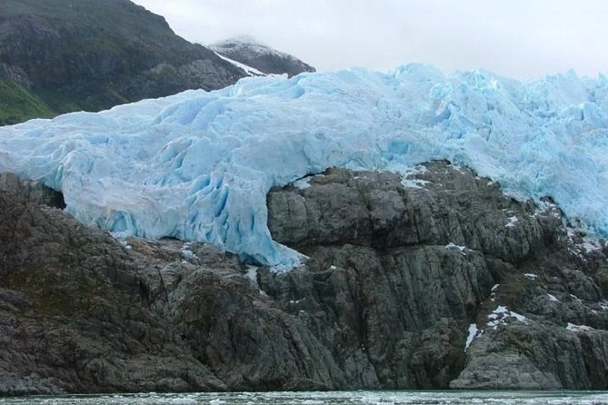 Coloane Marine Park Whale-Watching Boat Trip From Punta Arenas (Feb )