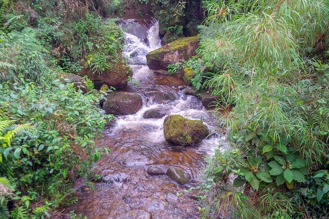Colombia’s Tallest Waterfall Adventure Awaits
