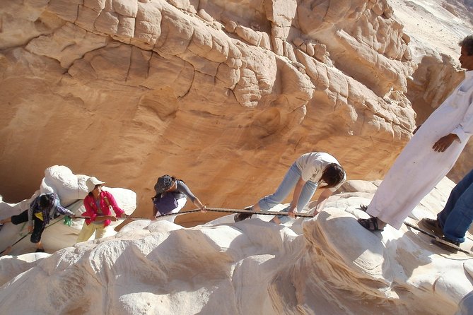 11 Best Safari Tours In Dahab