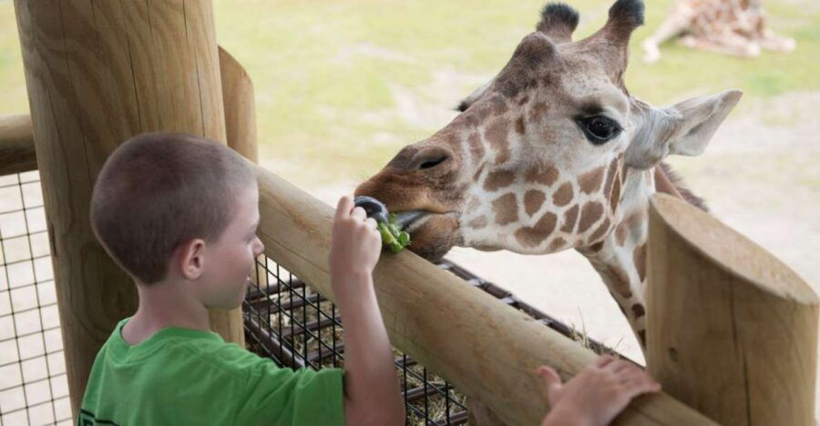 Columbus: Multiple Attractions Pass - Good To Know
