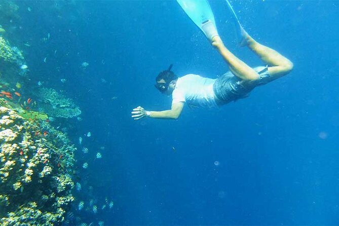 Combination Tour: Ayung River Rafting With Blue Lagoon Snorkeling