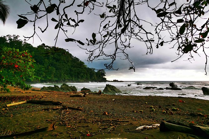 Combo 3: Manuel Antonio Park Tour & Chocolate Tour - Good To Know