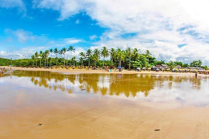 3 Best City Tours In Porto Seguro