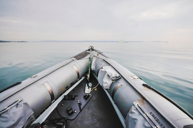 Combo Marine Wildlife Cruise & Cape Point Full Day Tour in CT - Good To Know