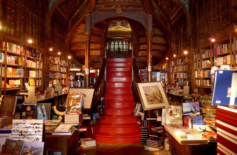 Combo: Porto City Half-Day Tour & Aveiro Half-Day Tour - Good To Know