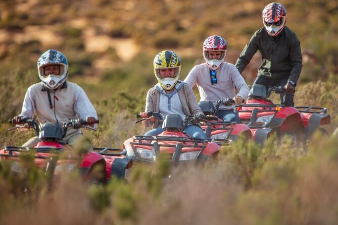 Combo Safari Near Capetown, Vehicle Horseback or Quadbike Outride - Good To Know