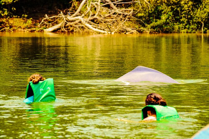 Community Tour 3 Days 2 Nights All Included in Guaviare