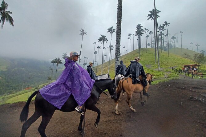 Complete Horseback Riding Valle Del Cocora - Good To Know