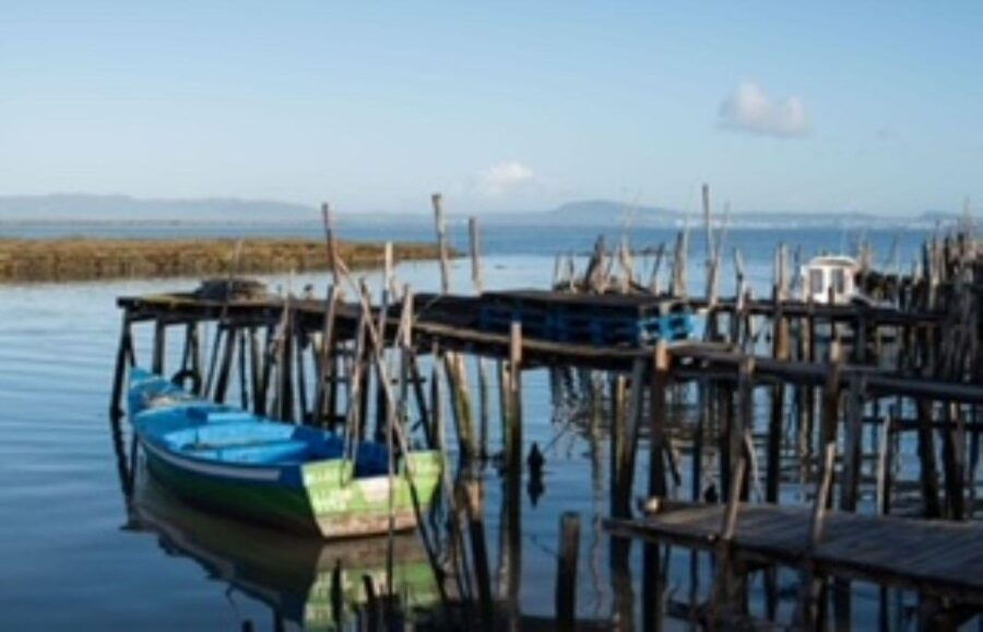 Comporta to Alcacer Do Sal Boat Trip - Good To Know