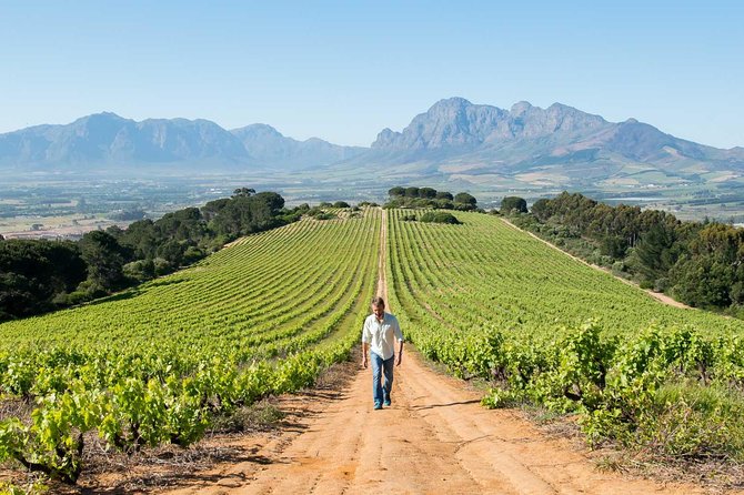 Constantia Winelands Private Wine Tour From Cape Town - Good To Know