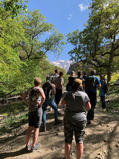 Cooking in the Mountains: A Culinary Adventure in Imlil
