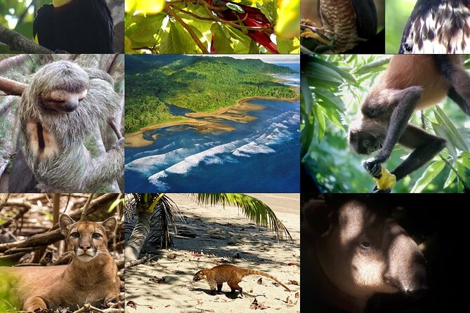 Corcovado National Park Day Tour