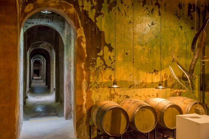 Córdoba: All-Inclusive Private Winery Tour With Lunch (Feb ) - Good To Know
