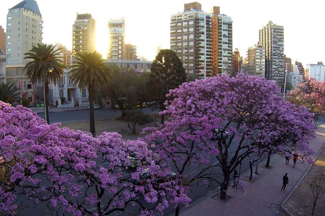 Córdoba City Tour Unveils Historic Delights