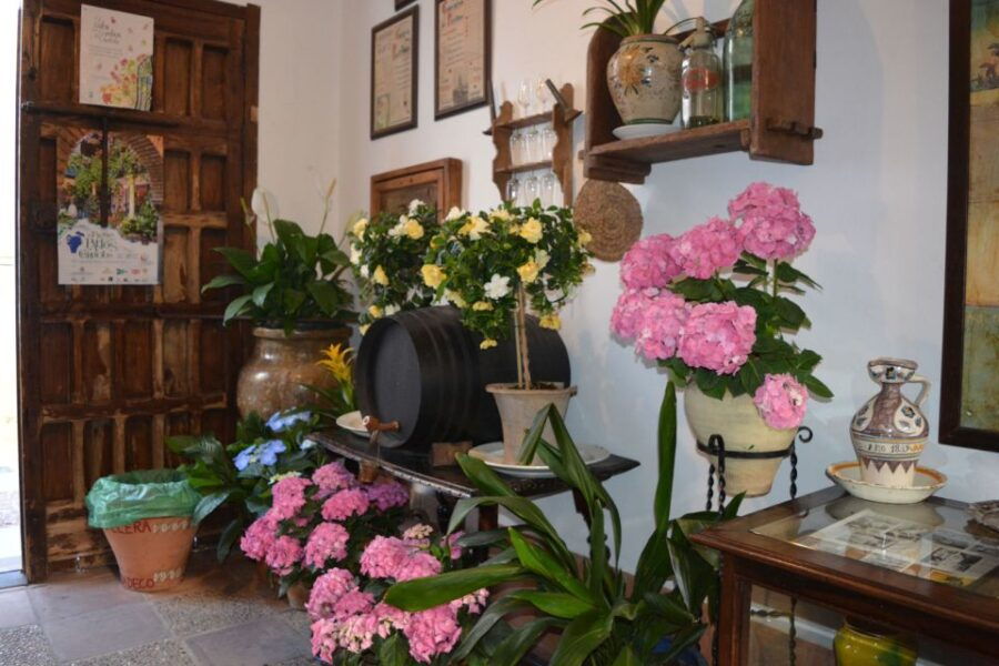 Cordoba: Patios & Flowers Private Walking Tour