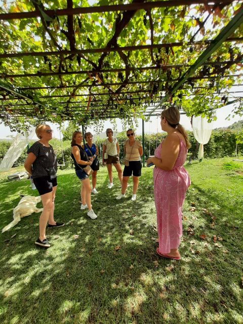 Corinth & Nemea: Guided E-Bike Tour With Wine Tasting - Good To Know