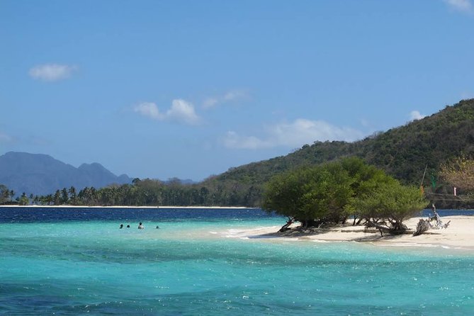 Coron Reefs & Wreck Tour (Shared Tour)