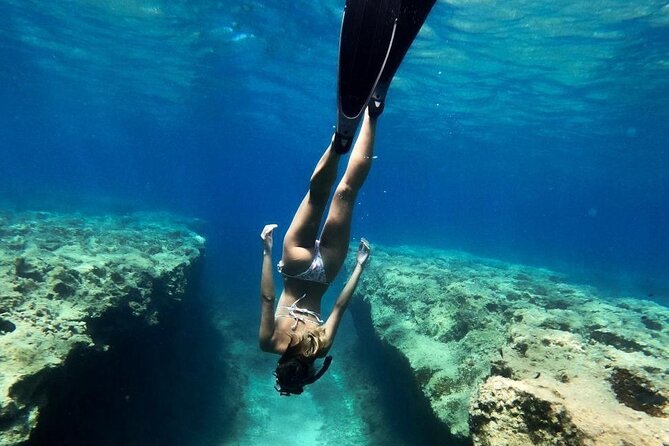 Coron Shipwrecks and Lusong Coral Garden Tour (Private / Shared)