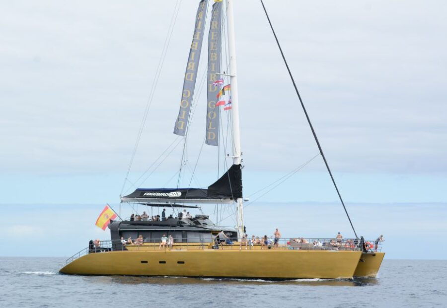 Costa Adeje: Whale Watching Tour With Food and Drinks - Good To Know