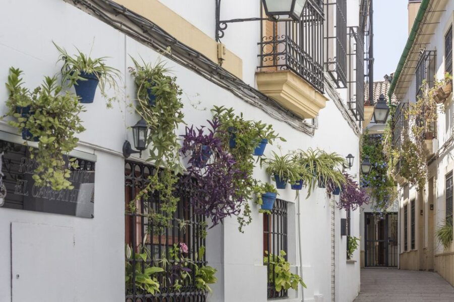 Costa Del Sol: Full-Day Cordoba Tour