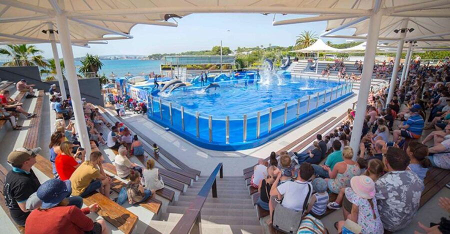 Costa D'en Blanes: Entry Ticket for Marineland Mallorca - Good To Know