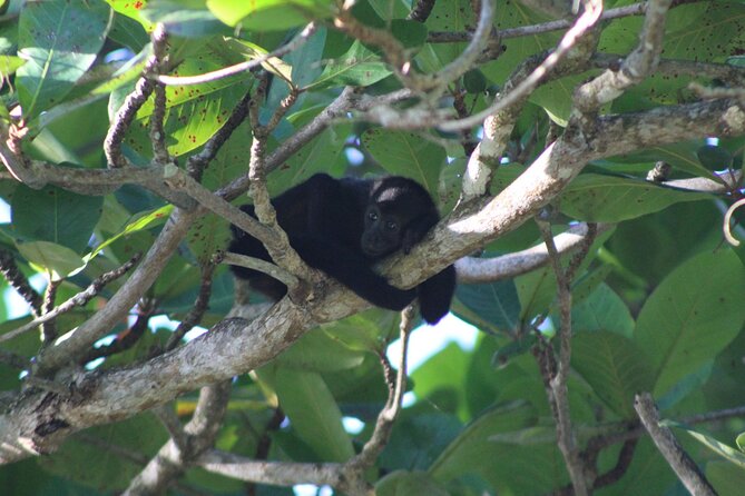 Costa Rica - Private Tour Experience - Good To Know