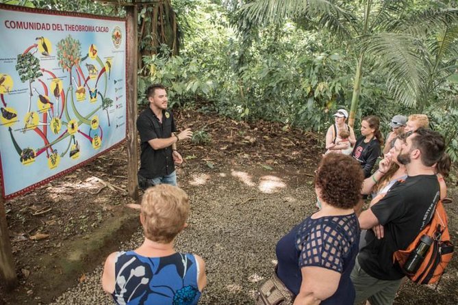 Costa Rica Tour: Rainforest, Chocolate, Hot Springs