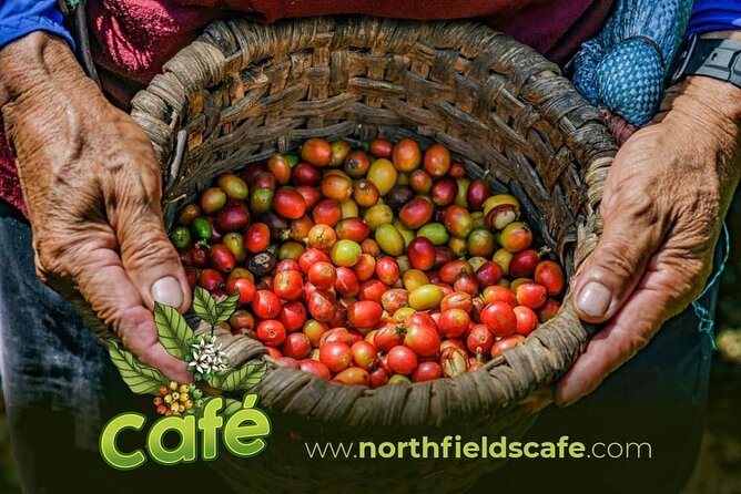 Costa Rican Coffee and Chocolate Crafting Experience: North Fields Cafe - Good To Know