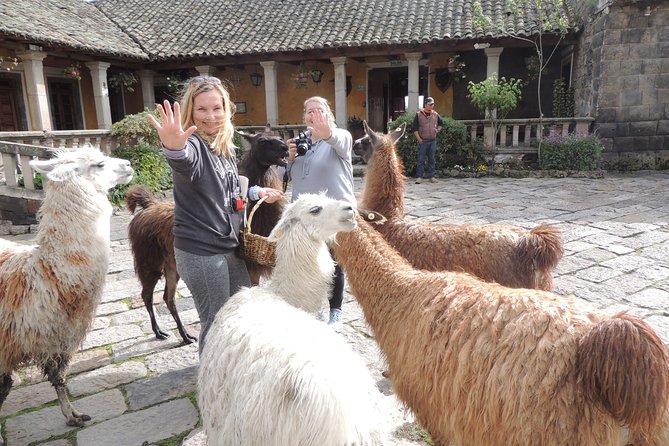Cotopaxi National Park and Inca Ruins Day Trip - Good To Know