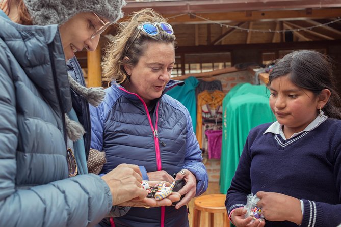 Cotopaxi National Park Full-Day Guided Volcano Tour From Quito