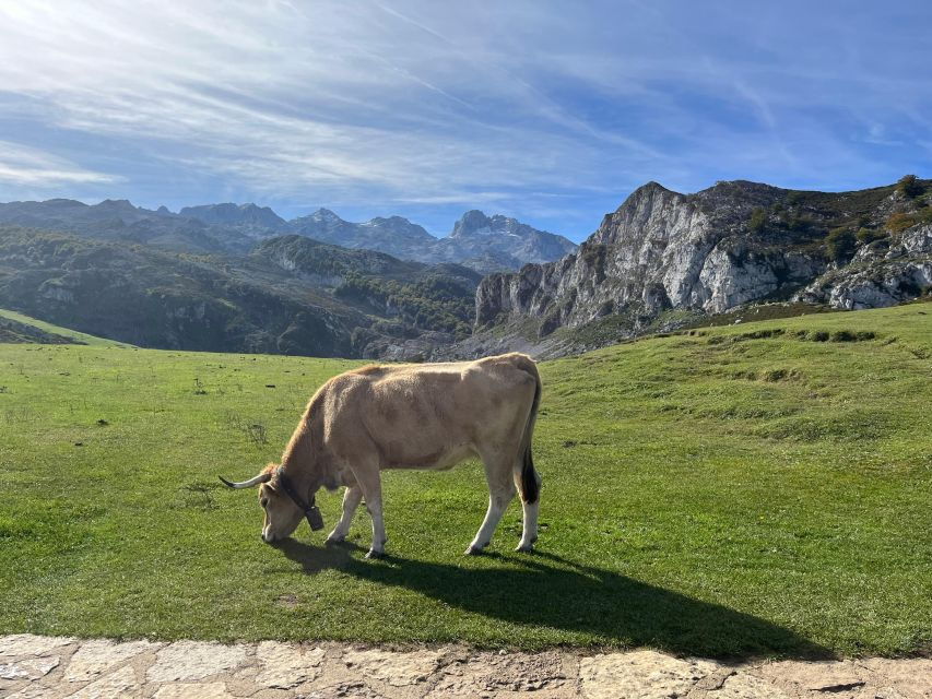 Covadonga and Lakes and Occidental Coast Private Tour
