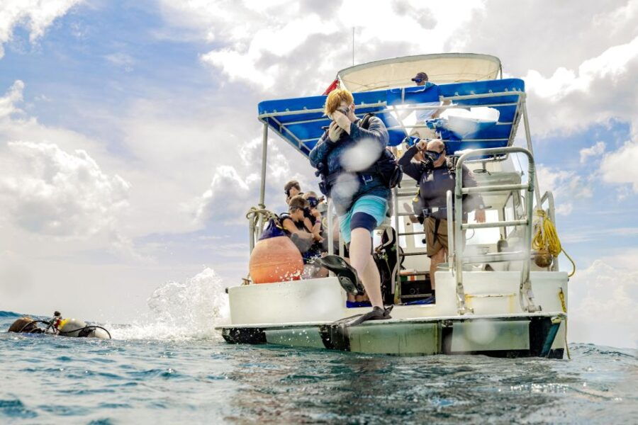Cozumel: 1 Tank Certified Scuba Diving - Good To Know