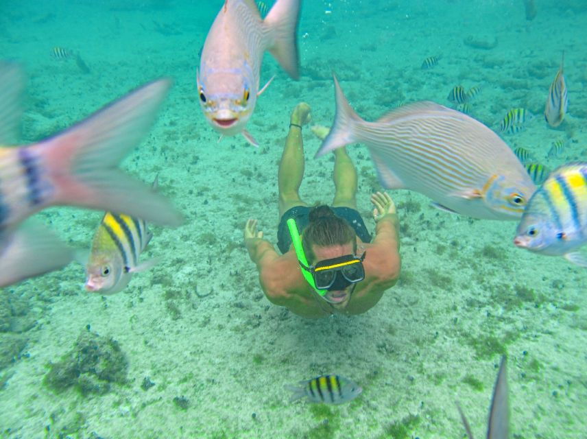 Cozumel: ATV & Snorkeling Guided Tour With Beach Club Lunch - Good To Know