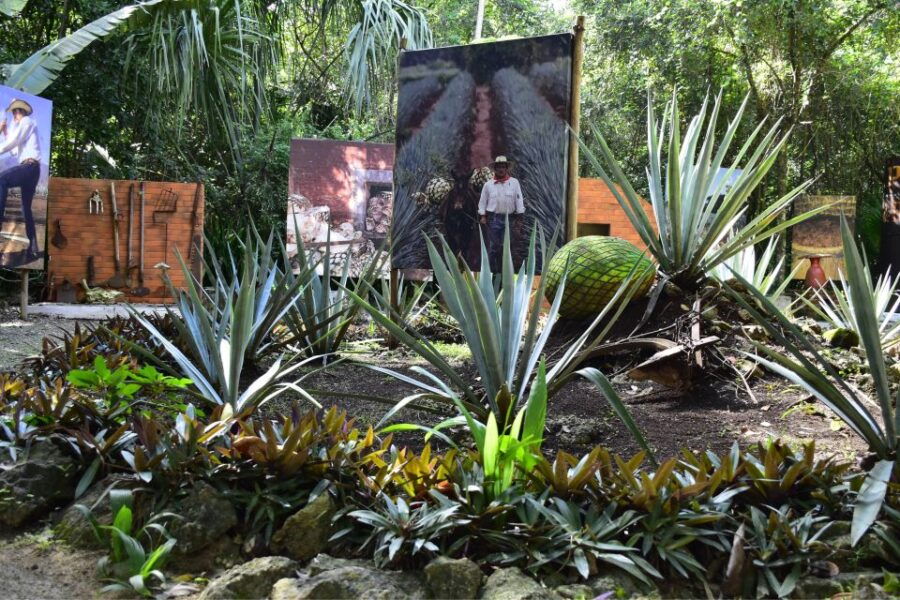 Cozumel: Chankanaab Park General Admission Entry Ticket - Good To Know