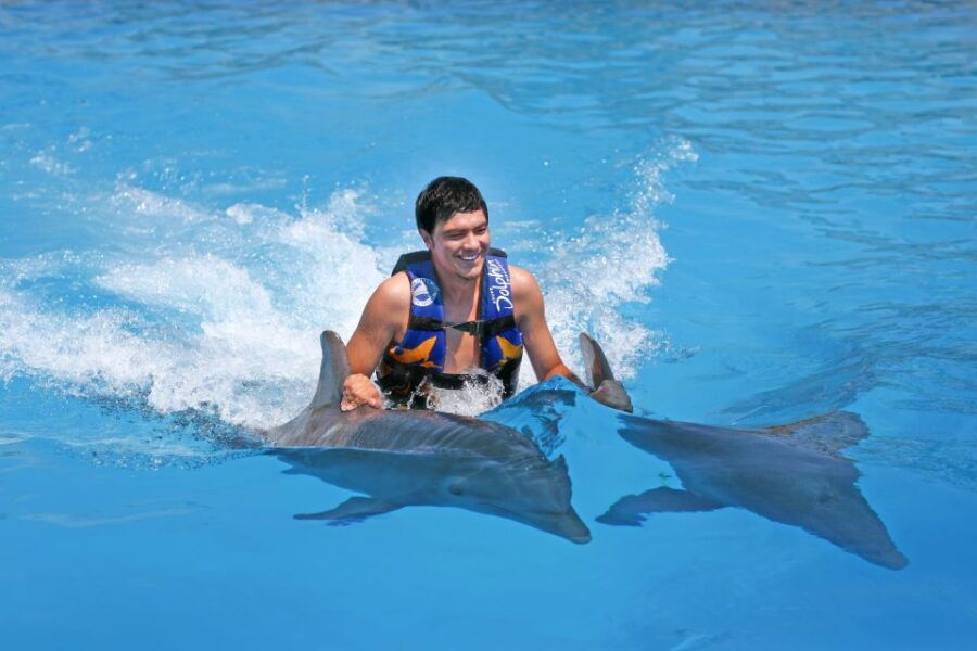 Cozumel: Dolphin Royal Swim - Good To Know
