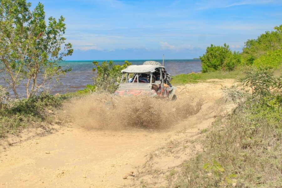 Cozumel: Jeep & Xrail Adventure Excursion