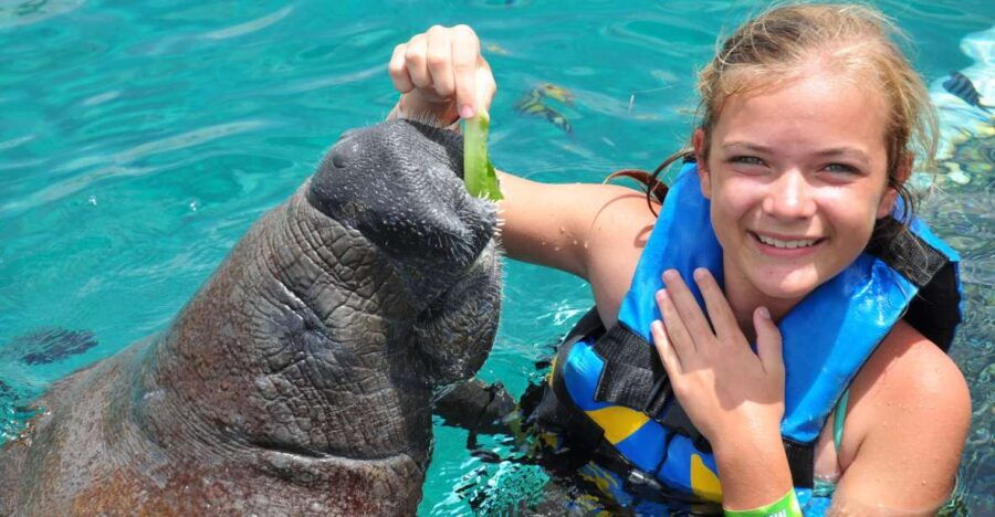 Cozumel: Manatee Encounter With Chankanaab Park Entrance