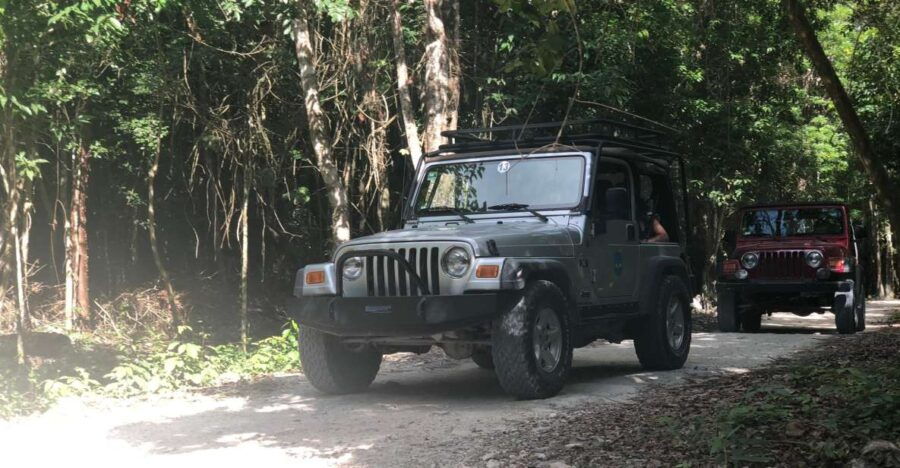 Cozumel: Mayan Jungle Jeep Ride to Jade Caverns and Snorkel