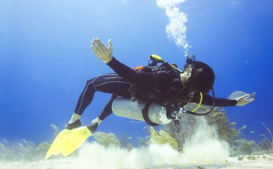 Cozumel: One Tank Scuba Dive and Full Chankanaab Park Access - Good To Know
