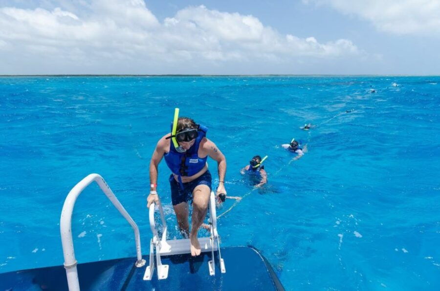 Cozumel: Reef Adventure With Snorkeling and Lunch