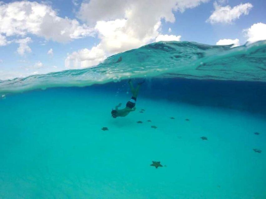 Cozumel: Shore Snorkel & Taco Workshop Experience - Good To Know