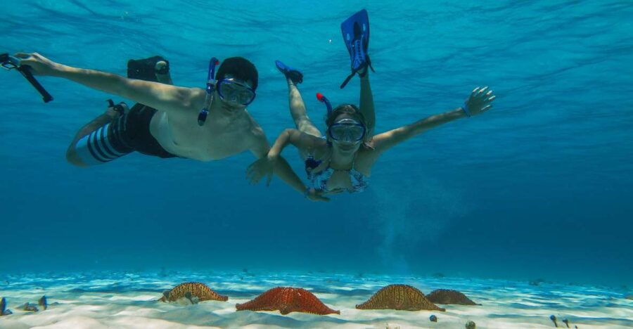 Cozumel: Snorkeling Trip to 3 Reefs by Boat - Good To Know