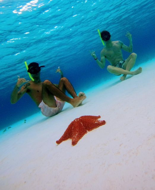 Cozumel: Starfish, Stingrays, and Turtle Bay Snorkeling Tour - Good To Know