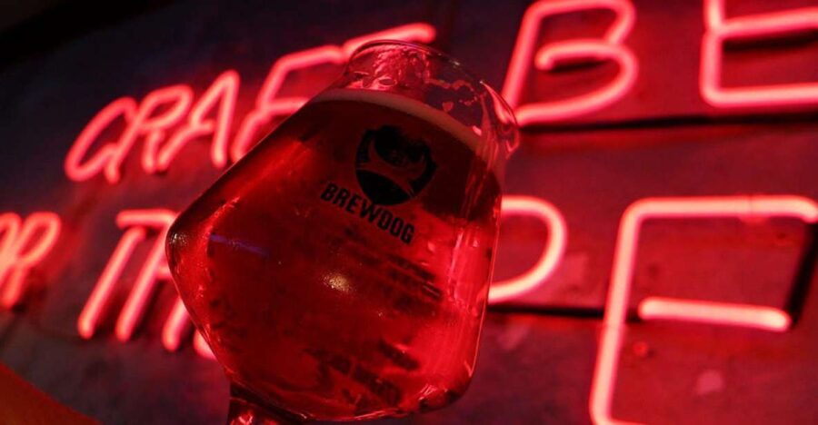 Craft Beer Tour With a Local Beer Lover
