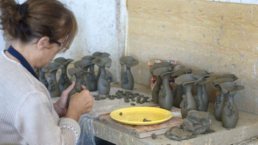 Crete: Full-Day Cretan Wines, Olive Oil, Raki and Food Tour
